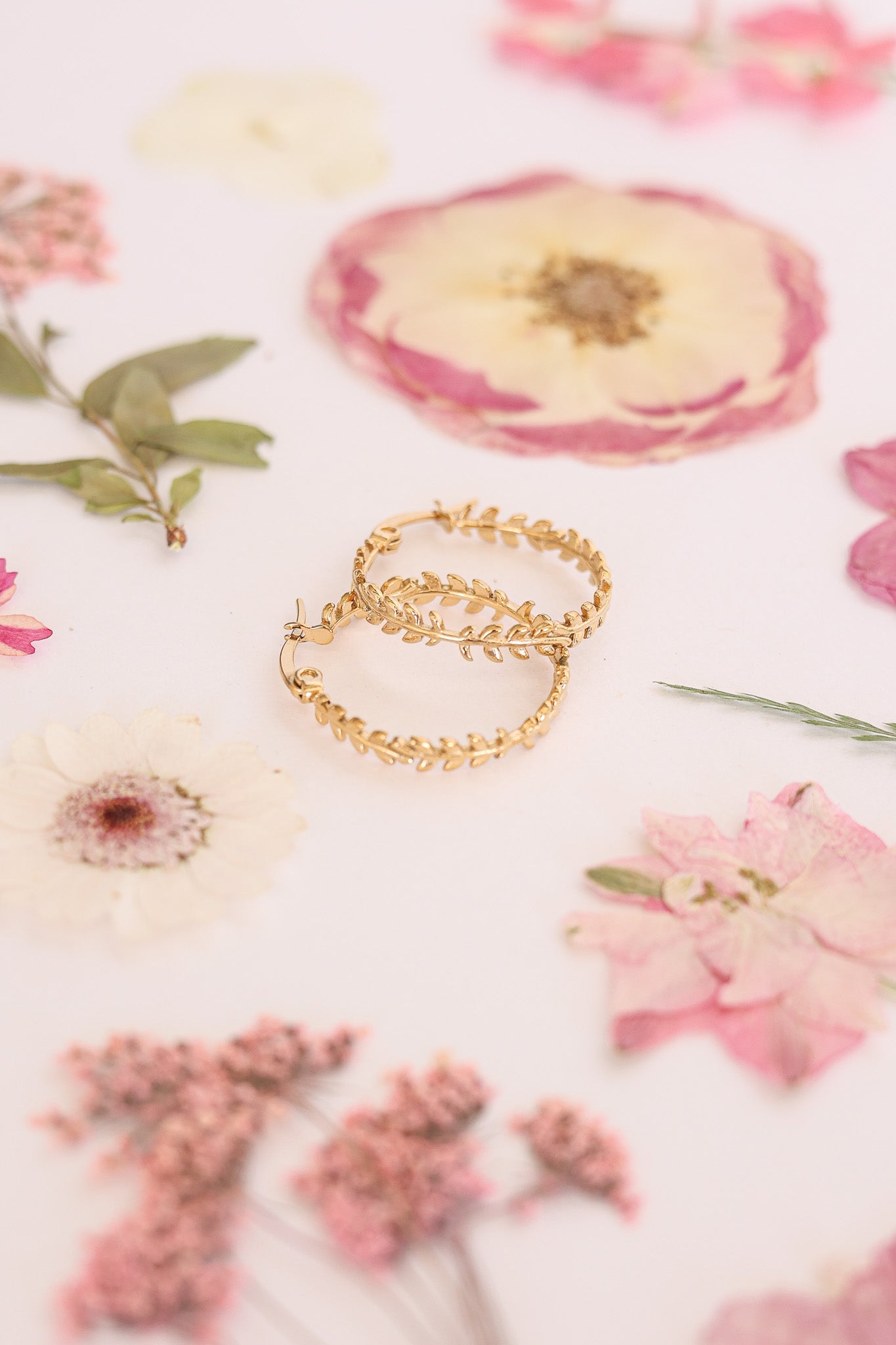 Ivy Hoop