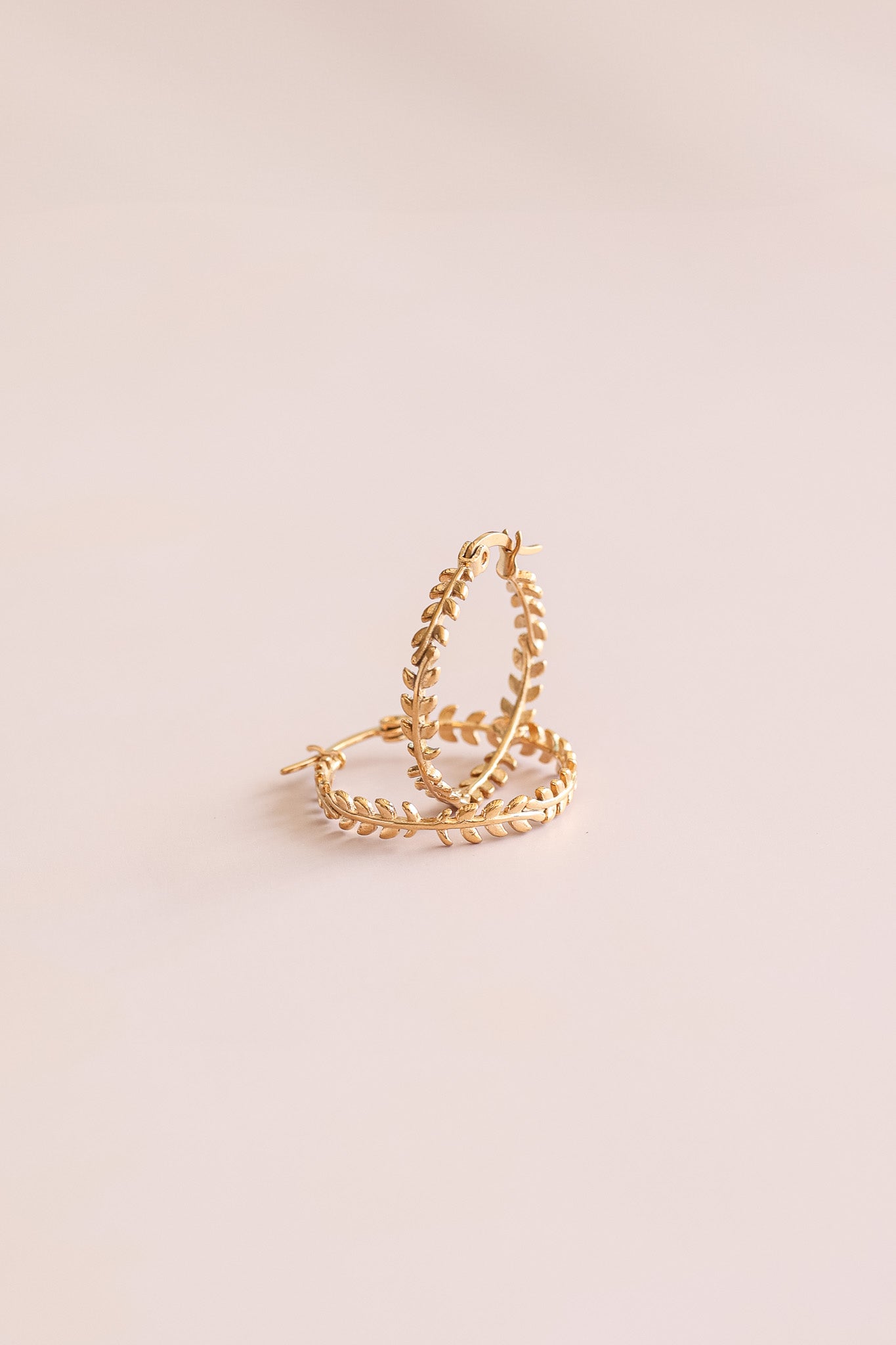 Ivy Hoop