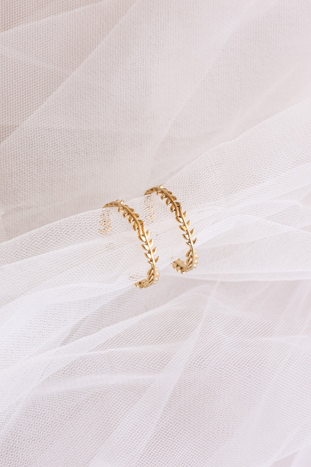 Ivy Hoop