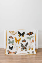 Butterfly Collector Quilt