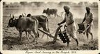 Antique Punjab Farmhouse Seeder