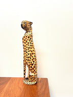 Cheetah Sitting