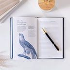 Reflect & Reset Journal by Holstee