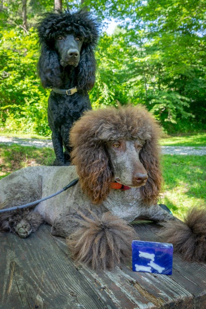 LAVENDER DOG BONE SOAP SLICE 5.5 oz. by Essential Journeys