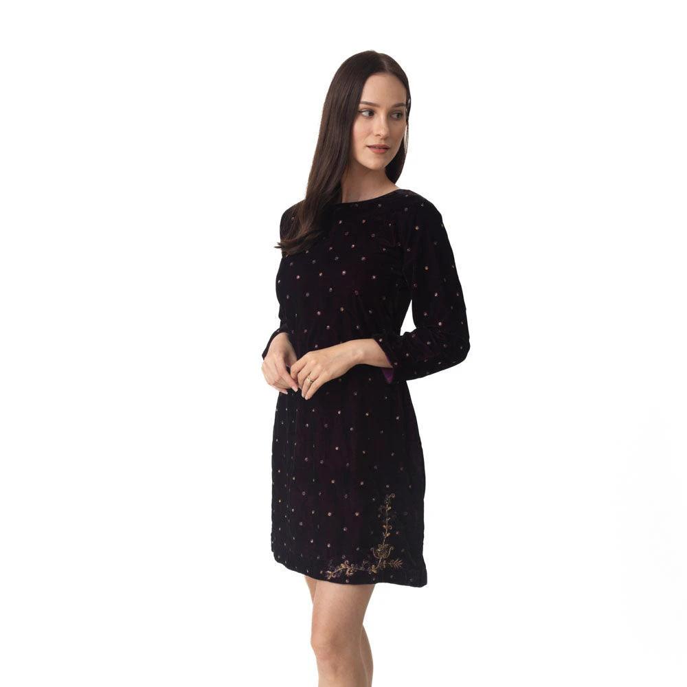 Lica Wine Velvet Dress with Hand Embroidery by Raas