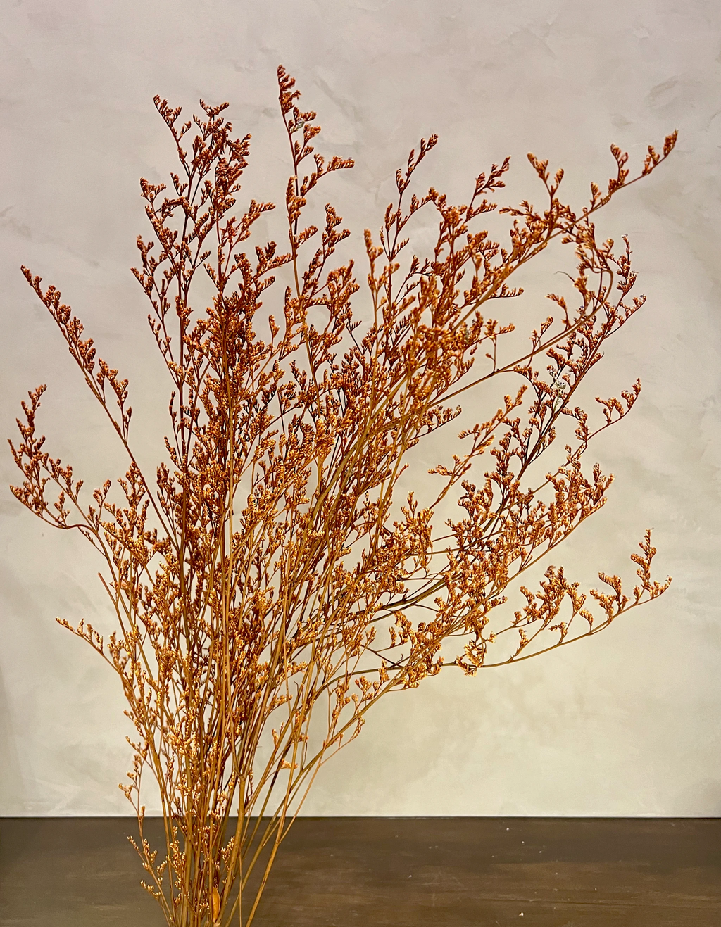 Preserved Limonium Caspia Flowers - Terracotta Orange by Source by Studio Skara