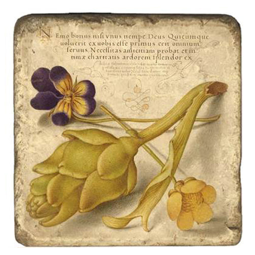 Joris Hoefnagel Magnet