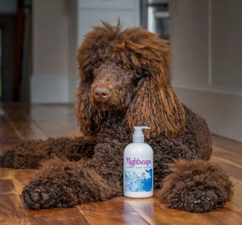 NIGHTSCAPE HAND & BODY LOTION 16 oz &/or 2 oz by Essential Journeys