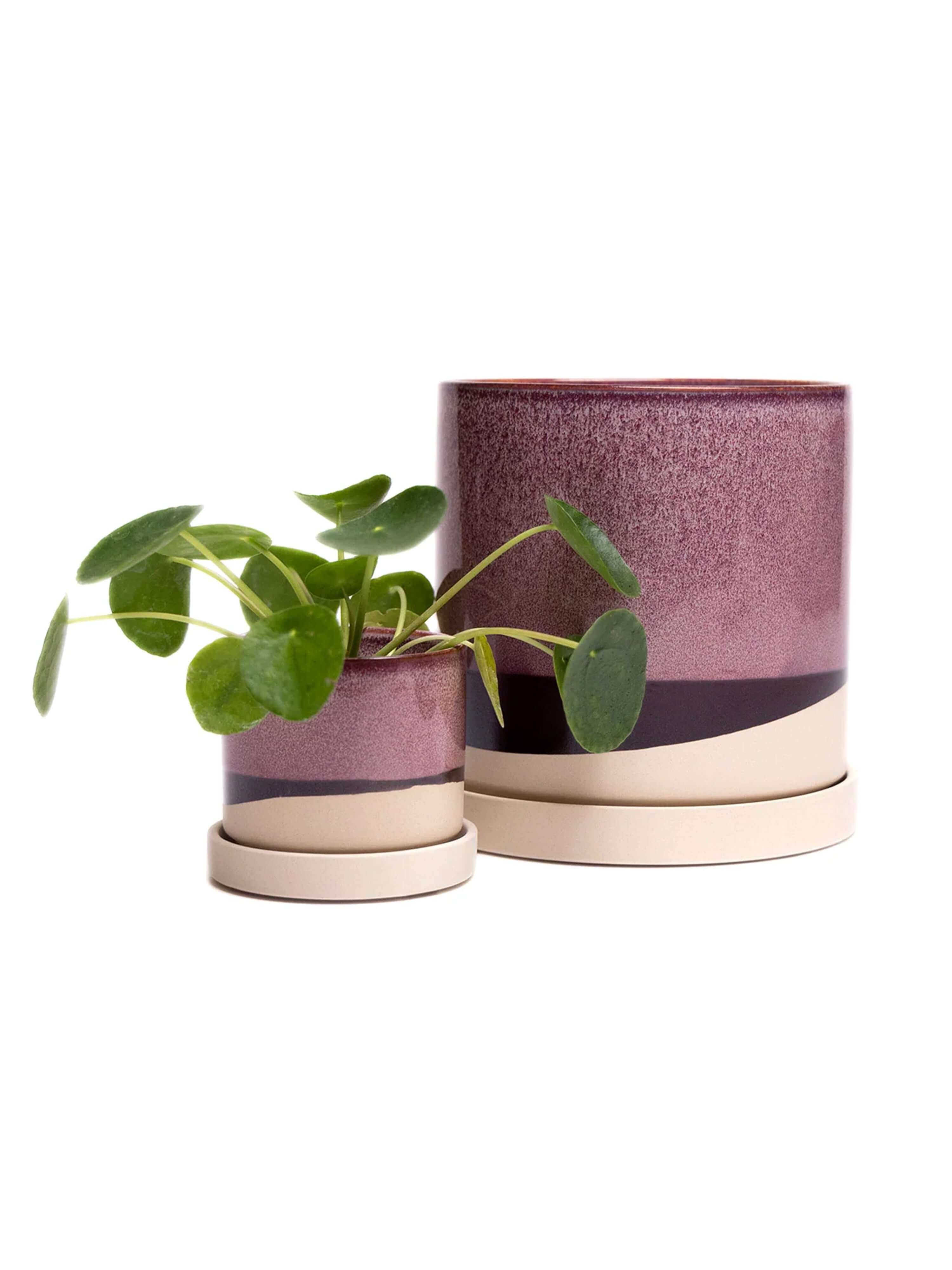 Two handmade ceramic plant pots with matching saucers featuring pink and cream glazed finishes with dark accent bands, one containing a green succulent plant and the other holding a leafy green plant, displayed on a light wooden surface against a white background