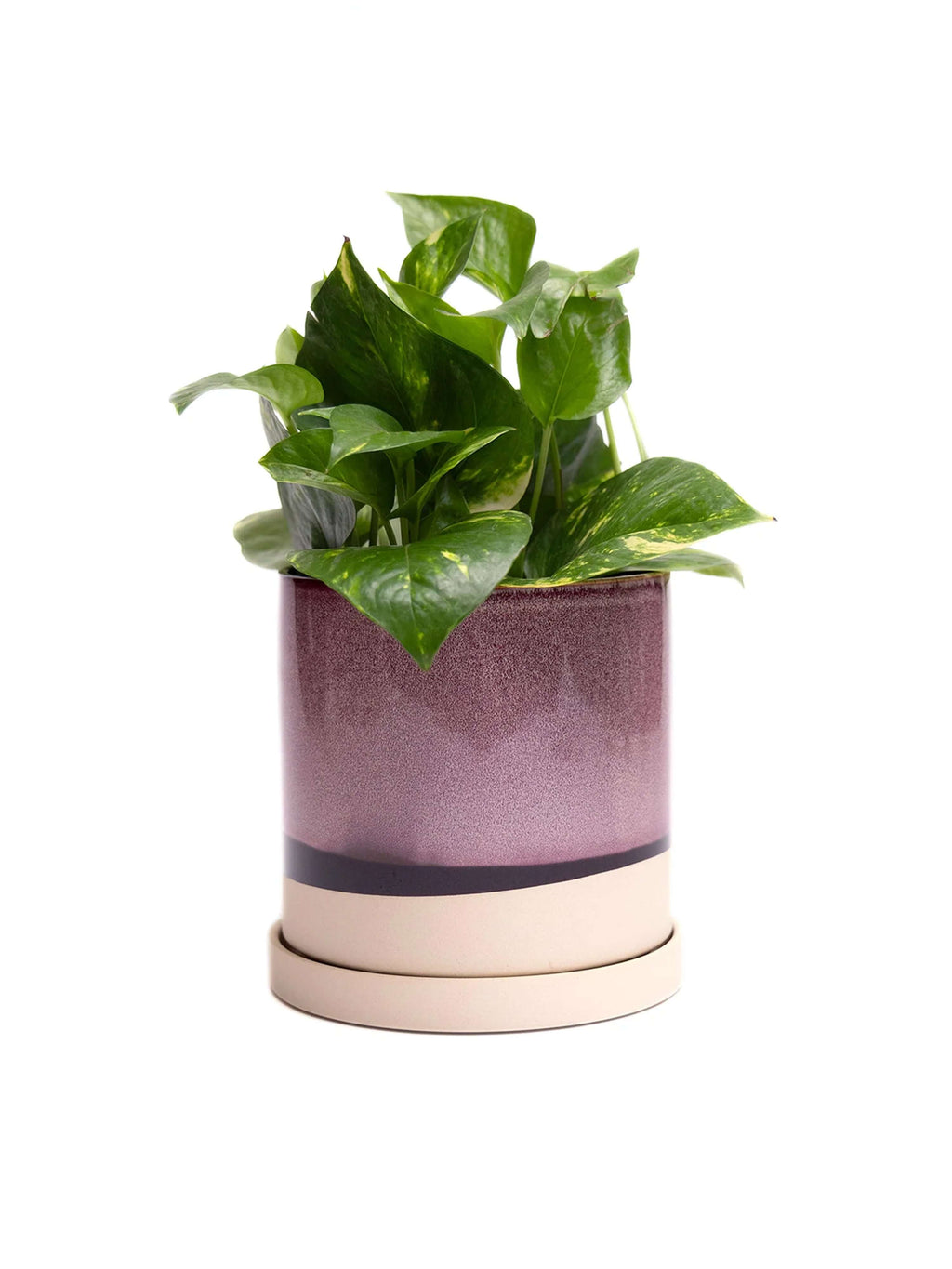 A handmade ceramic plant pot with matching saucer featuring pink and cream glazed finishes with dark accent bands, displayed against a white background