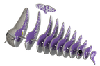Narwhal 3D Puzzle for Kids | Whale STEM Craft & Building Activity