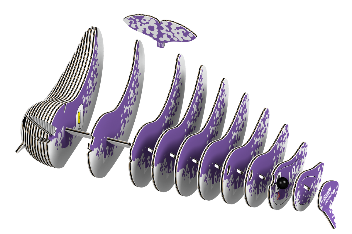 Narwhal 3D Puzzle for Kids | Whale STEM Craft & Building Activity