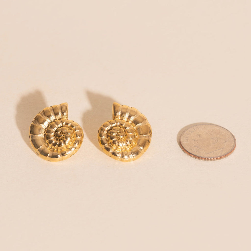 Shell Swirl Stud Earrings