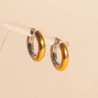 Titanium Chunky Rounded Huggie Hoop Earrings