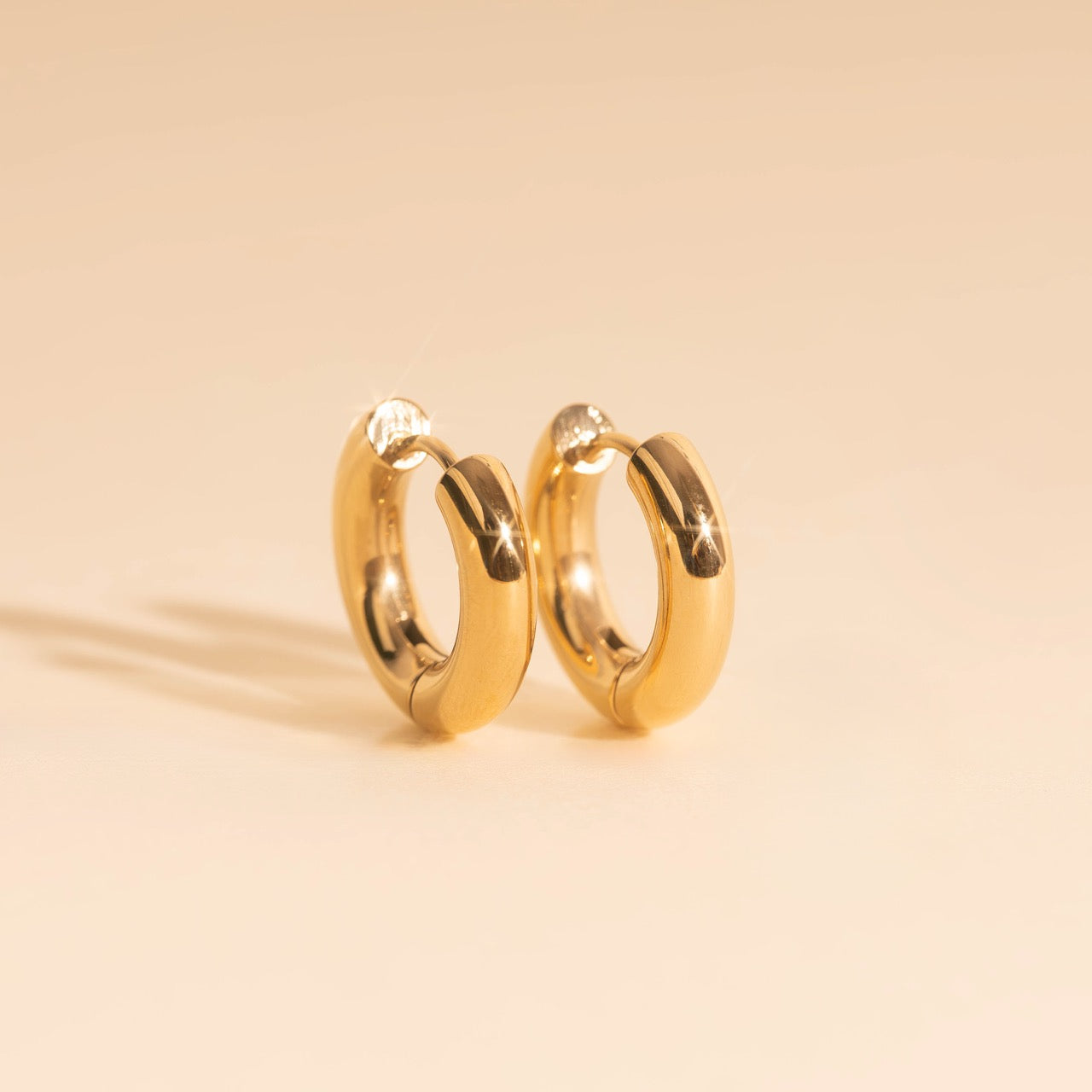 Titanium Chunky Rounded Huggie Hoop Earrings