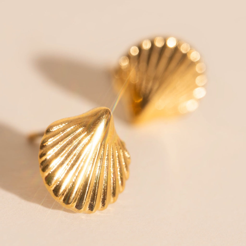 Mini Seashell Stud Earrings