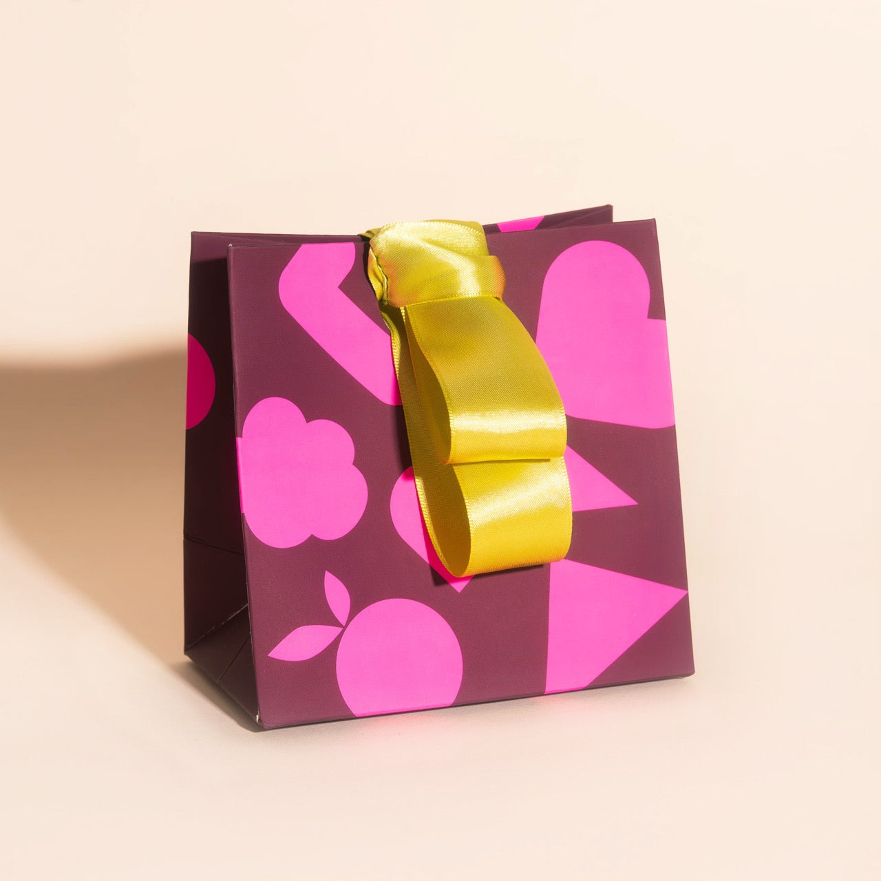 Cute Little Gift Bag