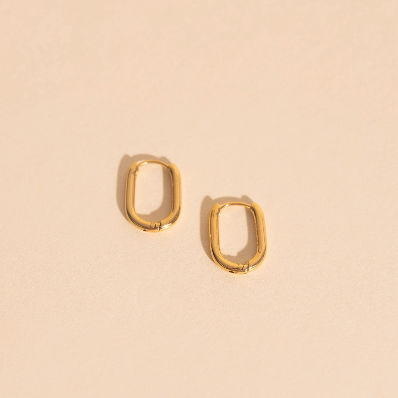 Titanium Rectangle Rounded Huggie Hoop Earrings
