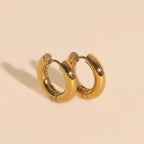 Titanium Chunky Rounded Huggie Hoop Earrings