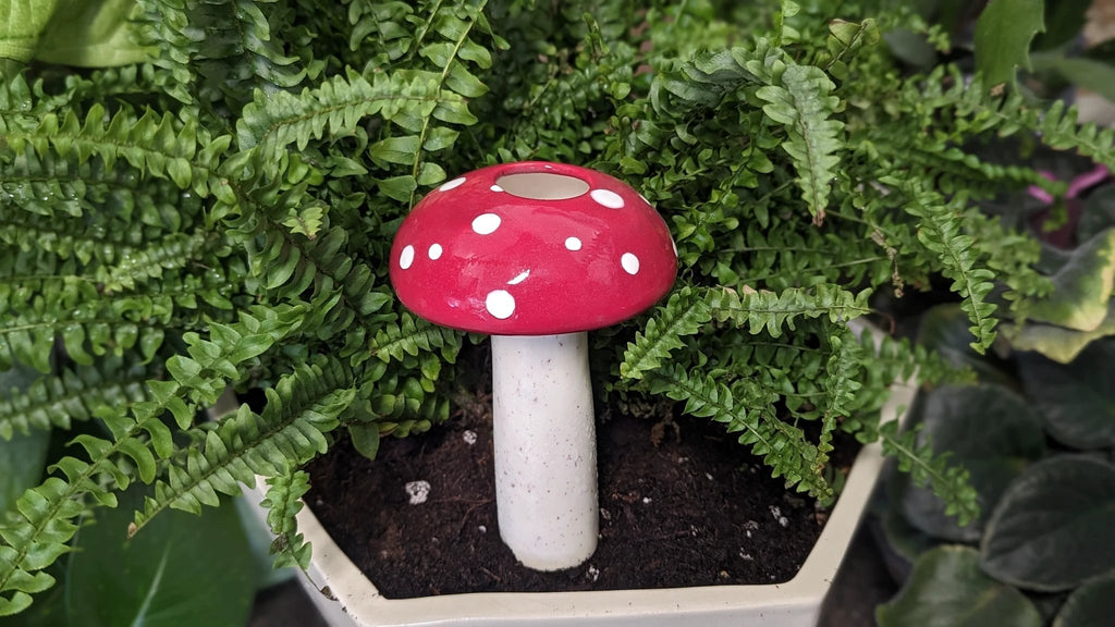 Large Mushroom Watering Spike by Mountain Mudworks