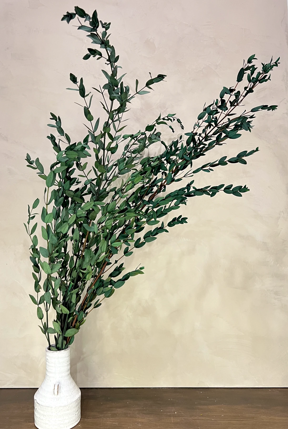 Preserved Parvifolia Eucalyptus - Dark Green by Source by Studio Skara