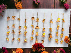 Net, Pom Pom & Gota Lari, Set of 10