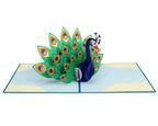 Peacock Pop Up Card by Paper Love
