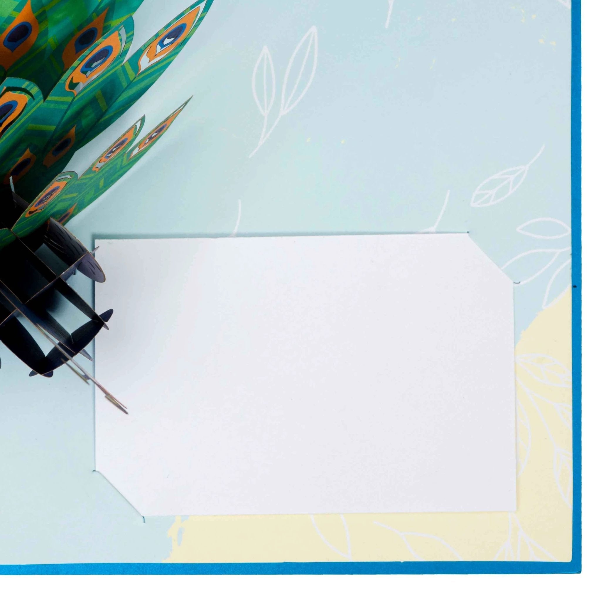 Peacock Pop Up Card by Paper Love
