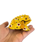 3" Wooden Musical Frog - Mustard Design (Percussion Instrument) by Music Frog Co