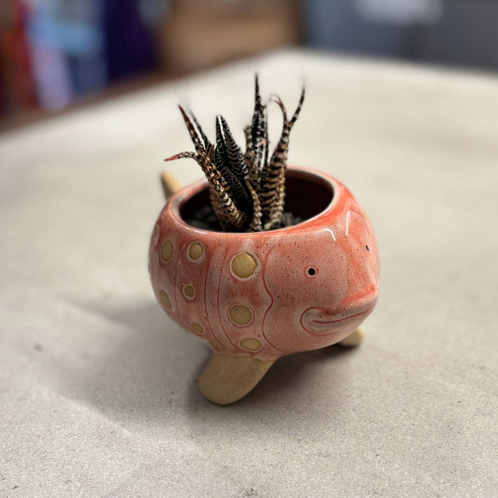 Pink Fish Mini Planter Pot | Tropical Shaped Fish Pot | 5" x 3"