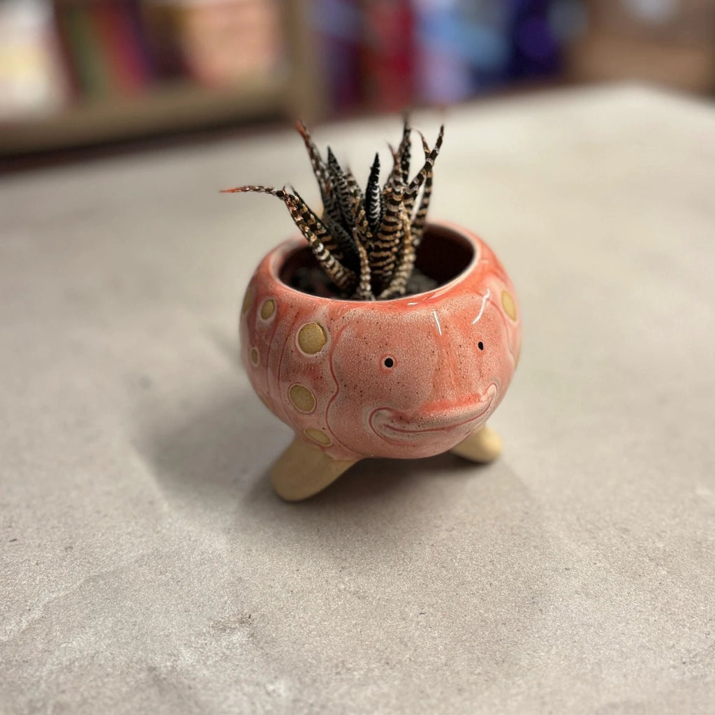 Pink Fish Mini Planter Pot | Tropical Shaped Fish Pot | 5" x 3" by The Bullish Store
