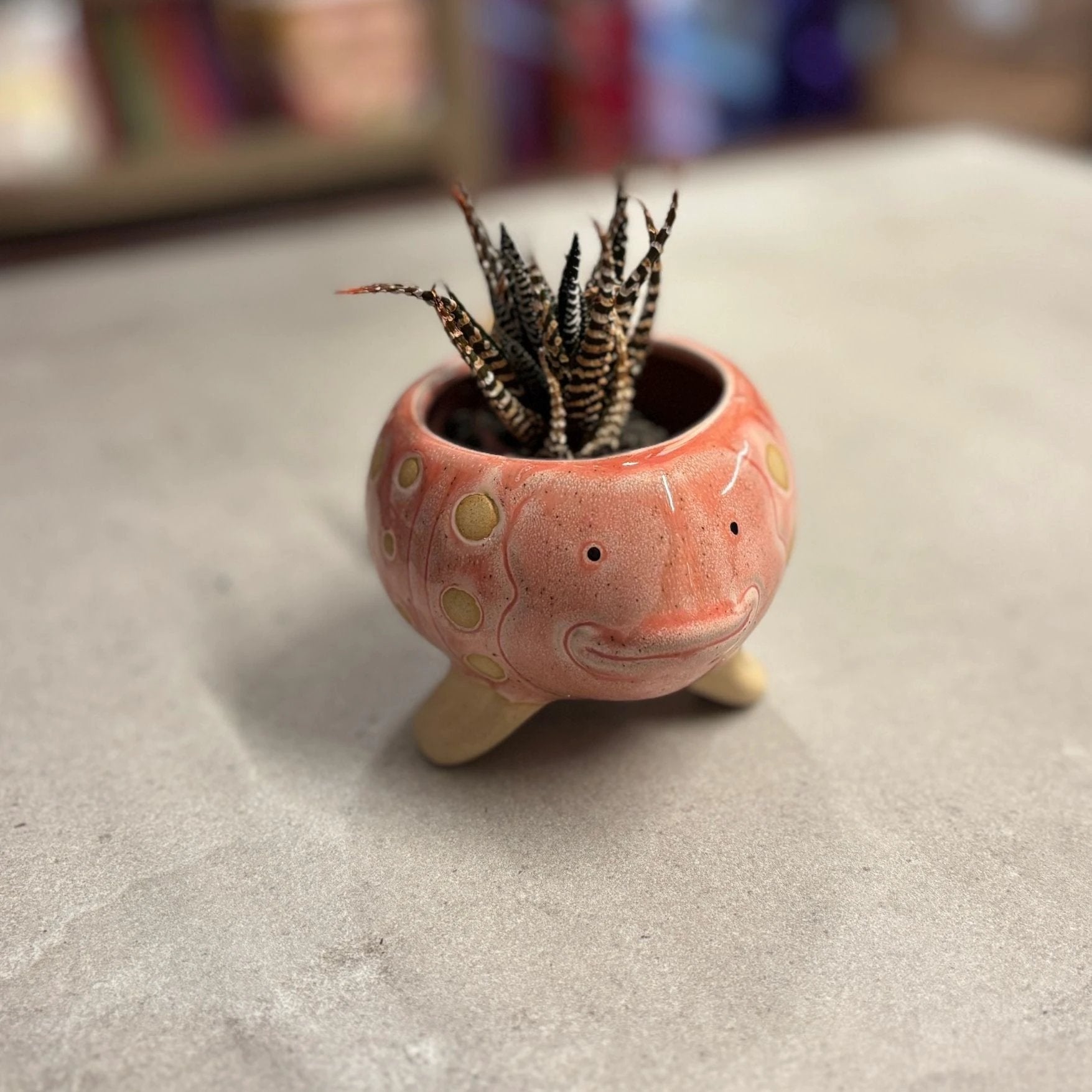 Pink Fish Mini Planter Pot | Tropical Shaped Fish Pot | 5" x 3" by The Bullish Store