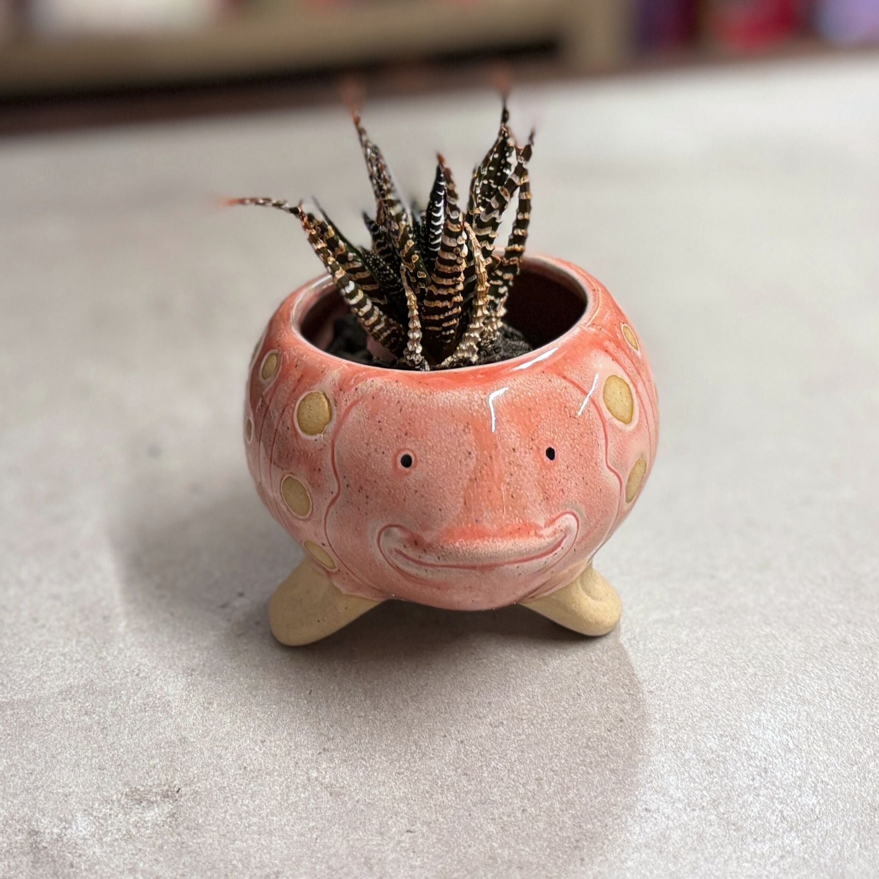 Pink Fish Mini Planter Pot | Tropical Shaped Fish Pot | 5" x 3"