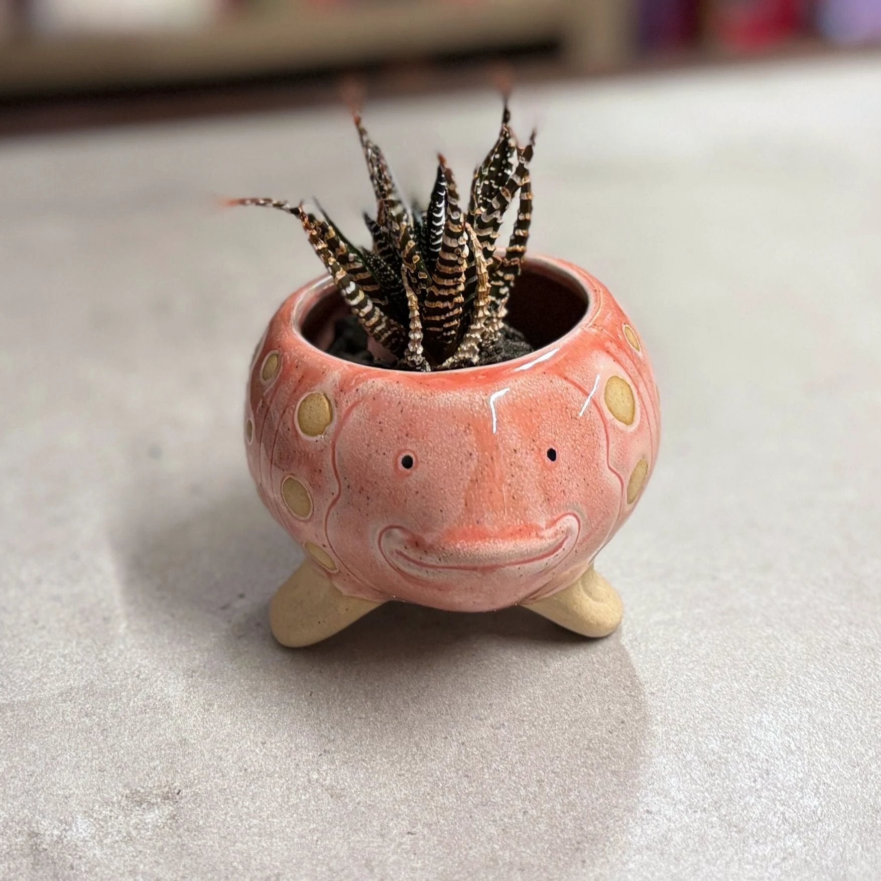 Pink Fish Mini Planter Pot | Tropical Shaped Fish Pot | 5" x 3" by The Bullish Store