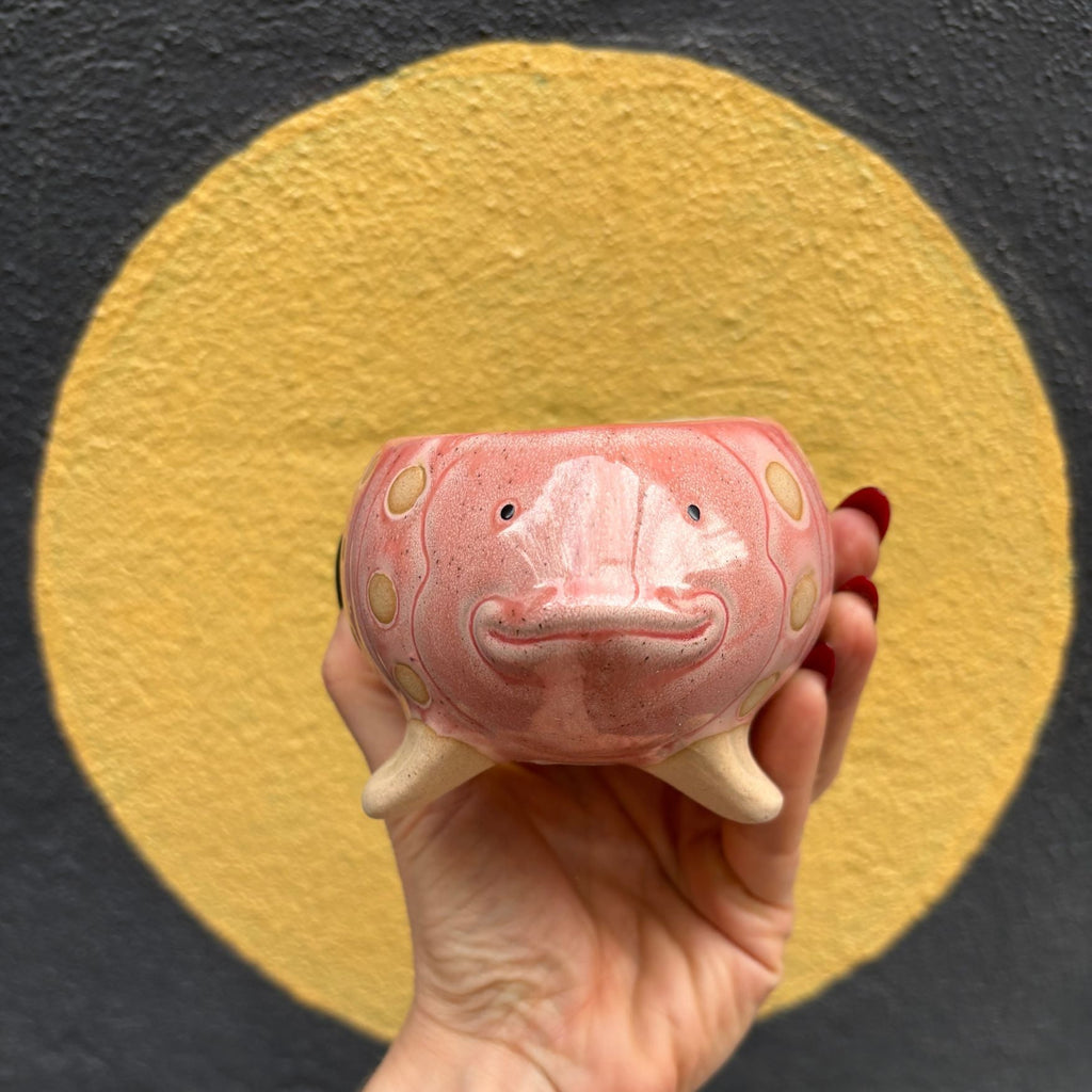 Pink Fish Mini Planter Pot | Tropical Shaped Fish Pot | 5" x 3"