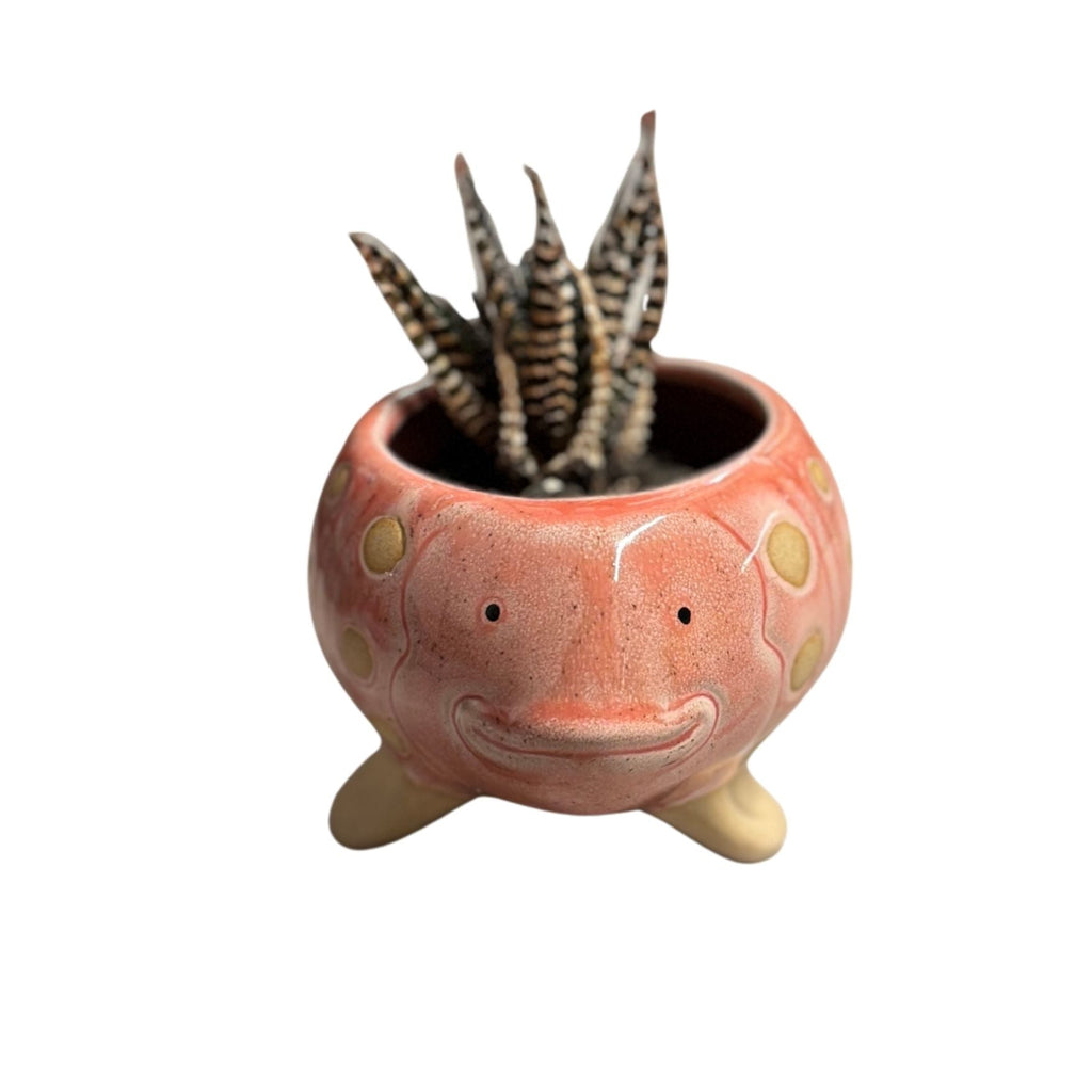 Pink Fish Mini Planter Pot | Tropical Shaped Fish Pot | 5" x 3"