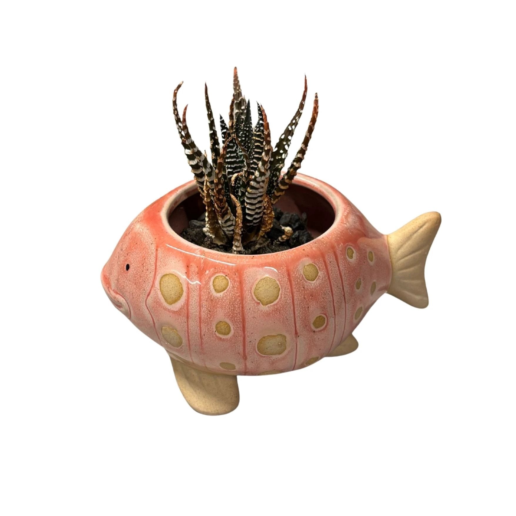 Pink Fish Mini Planter Pot | Tropical Shaped Fish Pot | 5" x 3" by The Bullish Store