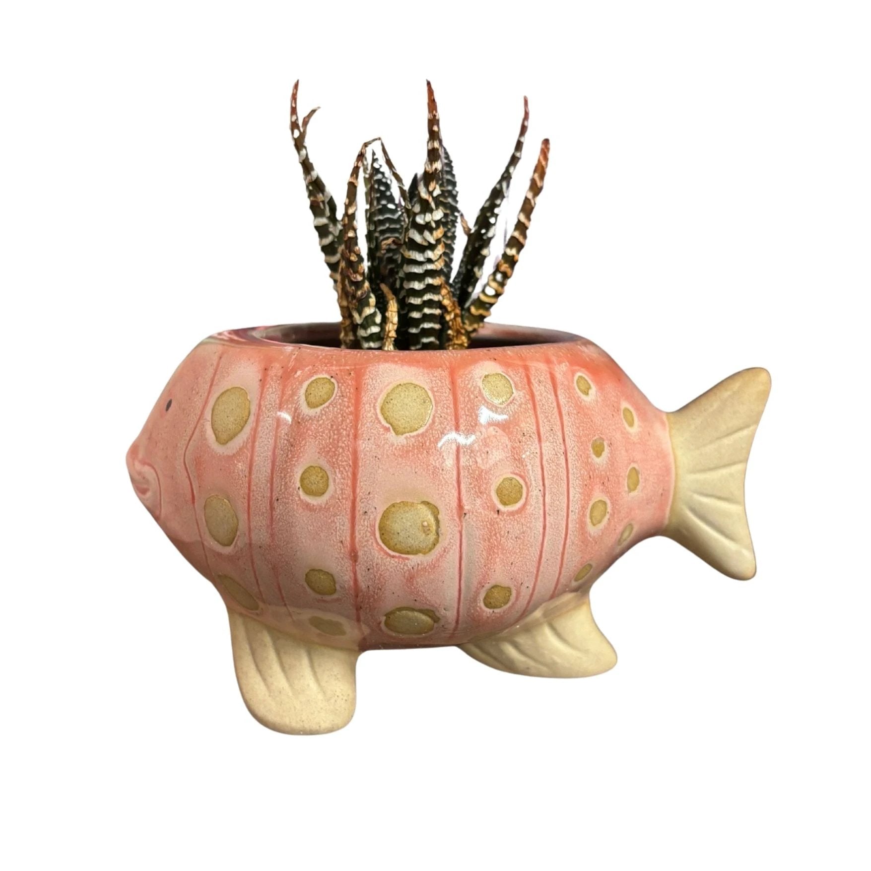 Pink Fish Mini Planter Pot | Tropical Shaped Fish Pot | 5" x 3" by The Bullish Store