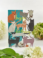 Playful Cats Lasercut Birthday Card by Ash & Rose