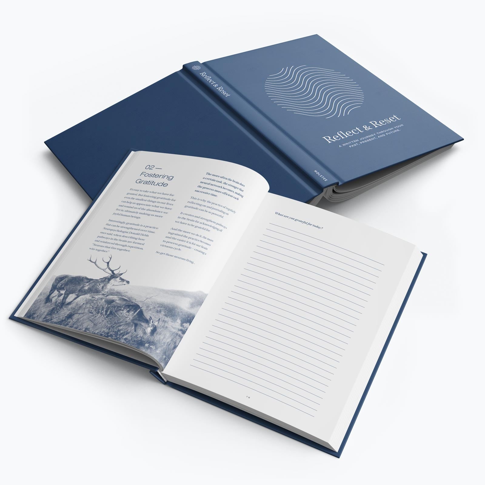 Reflect & Reset Journal