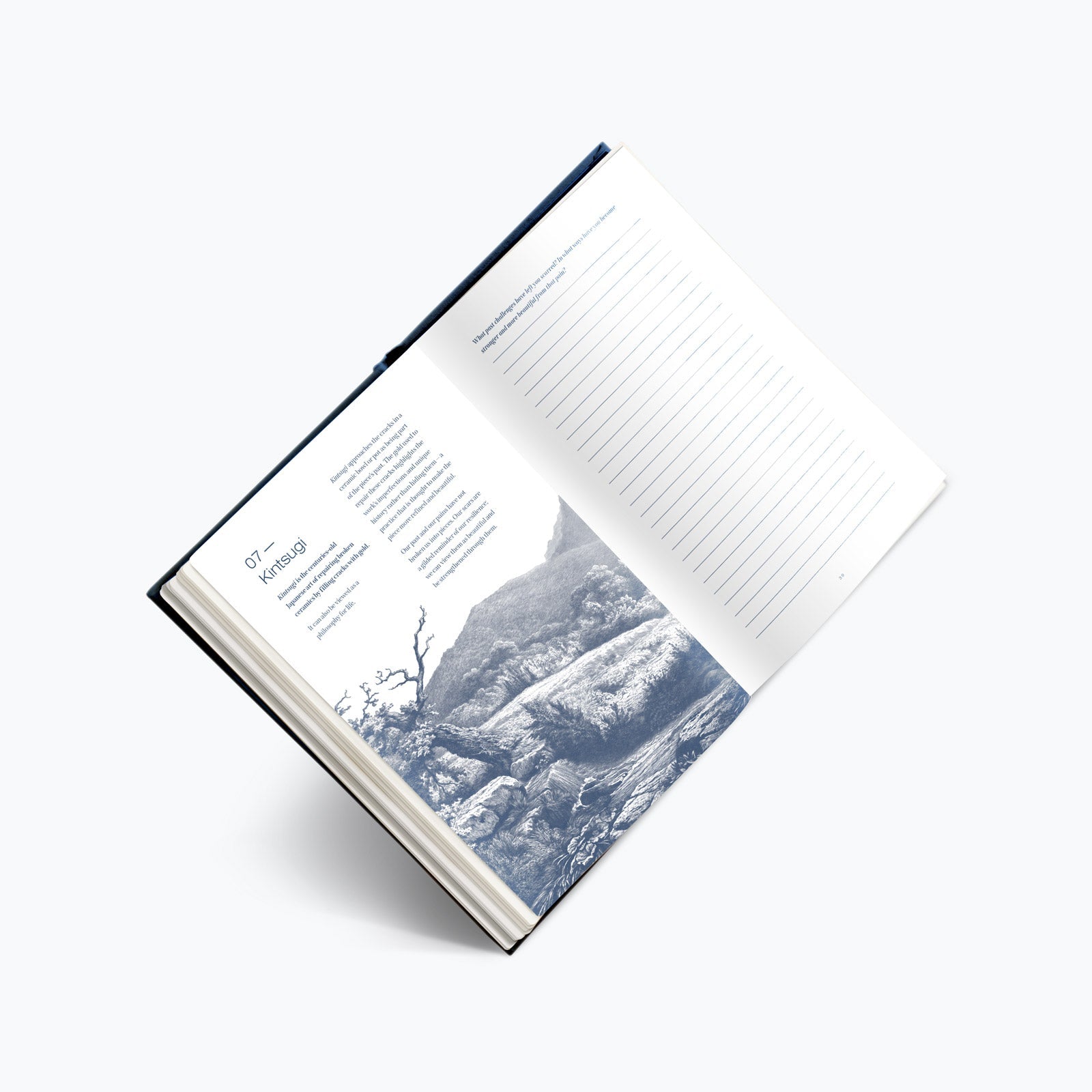 Reflect & Reset Journal