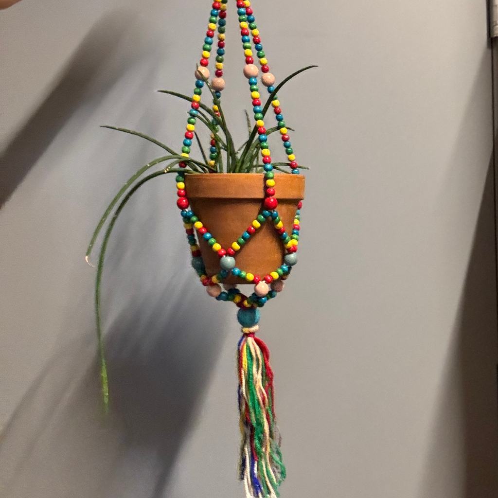 Rainbow Macrame Plant Holder | Bohemian Decorative Hanging Flowerpot Holder