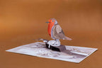 Robin Pop Up Card by Paper Love