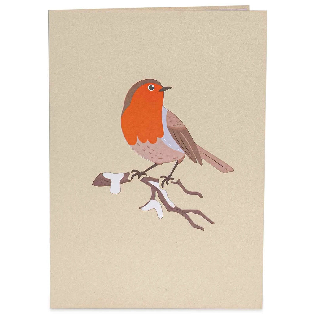 Robin Pop Up Card by Paper Love
