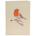Robin Pop Up Card by Paper Love