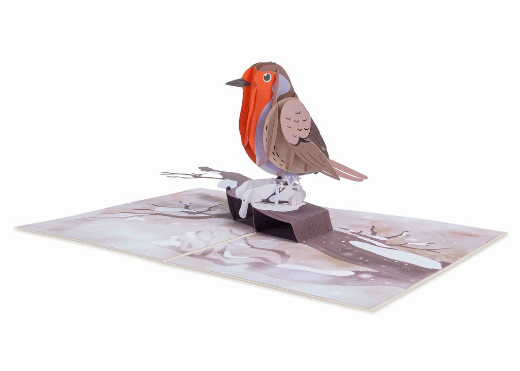 Robin Pop Up Card by Paper Love