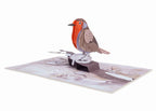 Robin Pop Up Card by Paper Love