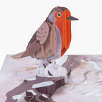 Robin Pop Up Card by Paper Love