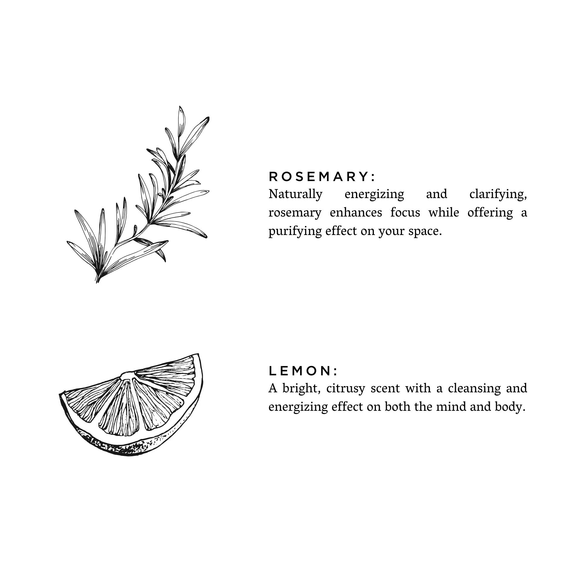 Rosemary + Lemon - Natural Bar Soap by Slow North