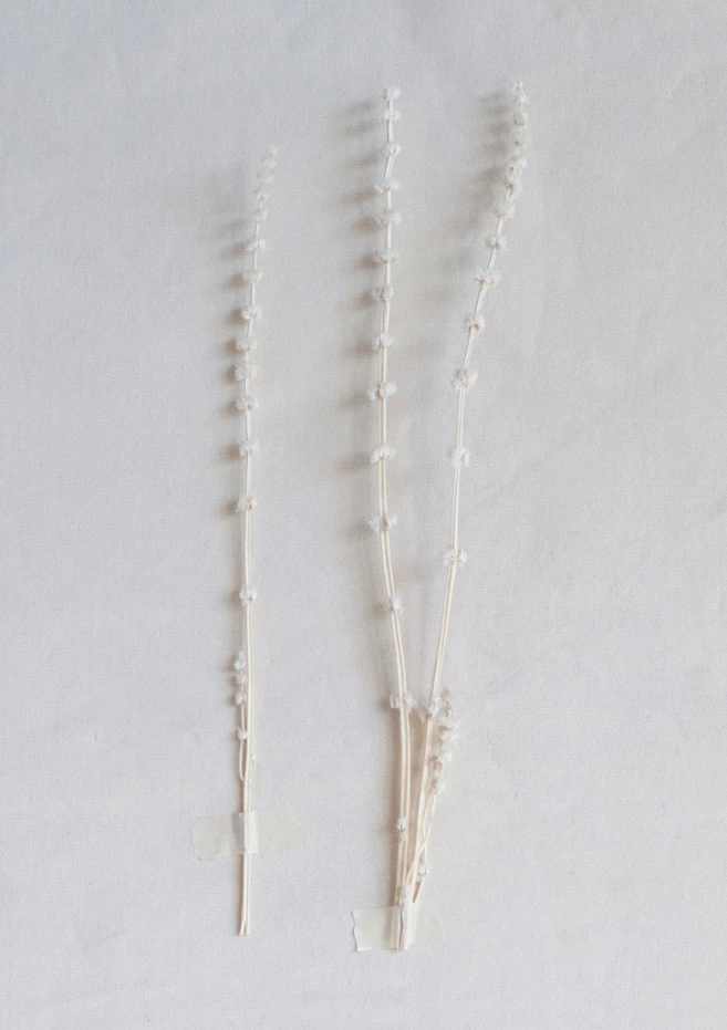 Dried Natural Lions Tail Bunch by The Lifestyle Lab